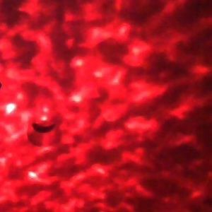 Meet your Posher, 13twthisrey